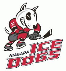 Niagara Ice Dogs